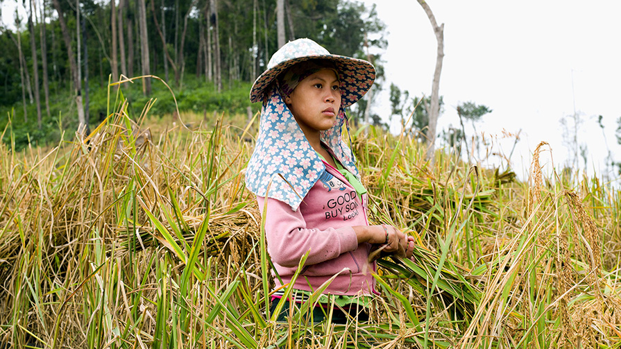 A woman stands in a rice field in Laos (Credit: Getty Images)