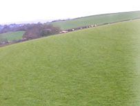 Liskeard 'Lamb Cam'