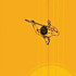 Review of Walking on a Wire Review of Walking on a Wire