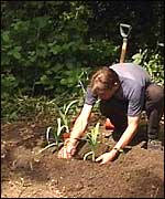 Chris tending his rows of leeks