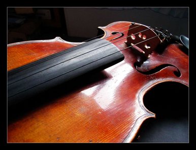 Violin