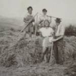 Beatrice (Left),Haymaking near Crediton, Devon.