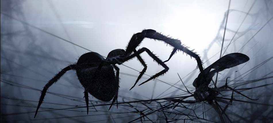 A scene from the movie Loom, depicting a spider and moth (image: Polynoid)
