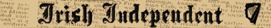 The Irish Independent