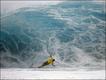 Foto: Brian Bielmann/Solent News