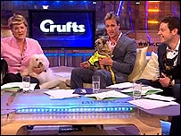 In the studio. BBC Crufts 2008