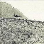 Bristol Blenheim Landing on the Island of Socotra