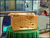 Kidney Kids collection chest