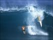 Foto: Brian Bielmann/Solent News