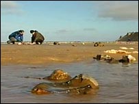 Hunting for fossils on the Norfolk coast