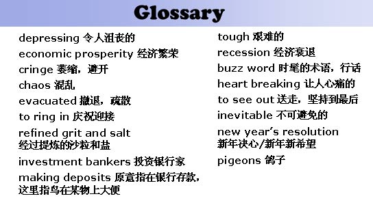 depressing 令人沮丧的, tough 艰难的, economic prosperity 经济繁荣, recession 经济衰退, cringe 萎缩，避开, buzz word 时髦的术语，行话, chaos 混乱, heart breaking 让人心痛的, evacuated 撤退，疏散, to see out 送走，坚持到最后, to ring in 庆祝迎接, inevitable 不可避免的, refined grit and salt 经过提炼的沙粒和盐, new year’s resolution 新年决心/新年新希望, investment bankers 投资银行家, pigeons 鸽子, making deposits 原意指在银行存款，这里指鸟在某物上大便