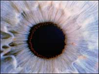 Eye