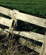 Fence