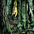 Review of Manafon Review of Manafon