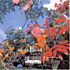 Review of Avalon Sutra Review of Avalon Sutra