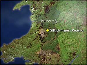 Gilfach Map