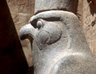Horus
