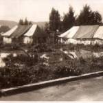 Hafia 1943