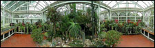 West Park Conservatory