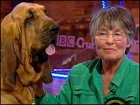 Bloodhound Ch Marksbury Wistful, and owner