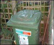 Organic waste bin