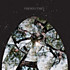 Review of Friendly Fires