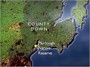 Murlough map