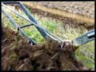 farming