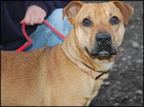 Needs a home