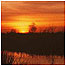 Heathland activities (Image: Thorne Moor c/o Natural England and Peter Raworth)