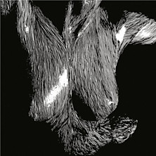 Review of Self Preserved While the Bodies Float Up Review of Self Preserved While the Bodies Float Up