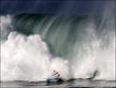 Foto: Brian Bielmann/Solent News