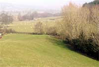 Defaid yn pori lle'r oedd pentref llys Owain