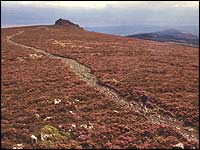 The ridge of the Stiperstones