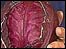 Picture: red cabbage: link