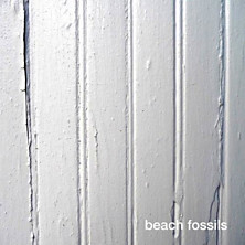 Review of Beach Fossils Review of Beach Fossils