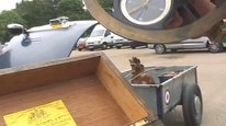 Mystery Object