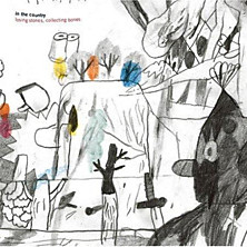 Review of Losing Stones Collecting Bones