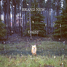 Review of Daisy Review of Daisy