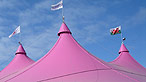 Pink pavilion
