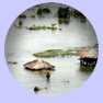 flooding