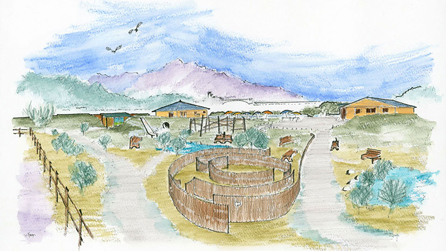 Artists impression of Y Maes by Alan Gray, RSPB volunteer.