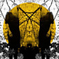 Review of Feel It Break Review of Feel It Break