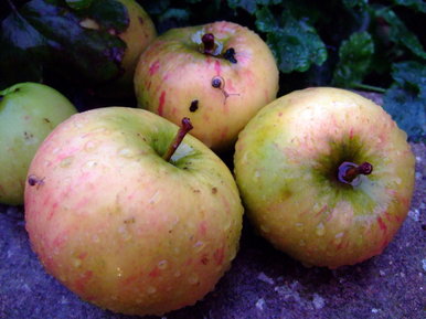 Natural apples