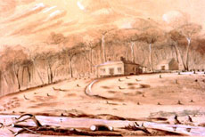 Emigrant's house in Canada