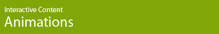 Interactive Content - Animations
