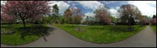 Swindon's Old Town Gardens