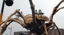 Close-up view of the spider