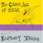 Review of Raspberry Tongue Review of Raspberry Tongue