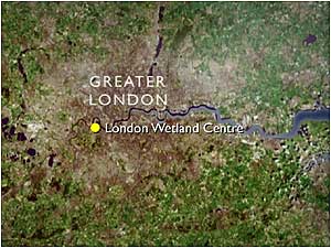 London Wetlands Centre map